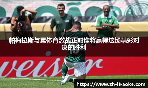 帕梅拉斯与累体育激战正酣谁将赢得这场精彩对决的胜利